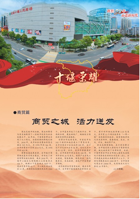 T31版导读