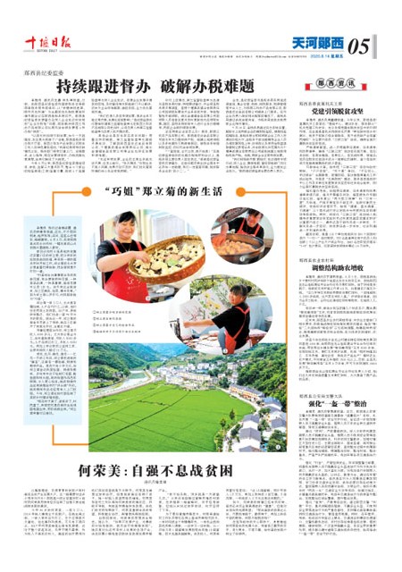 5版导读