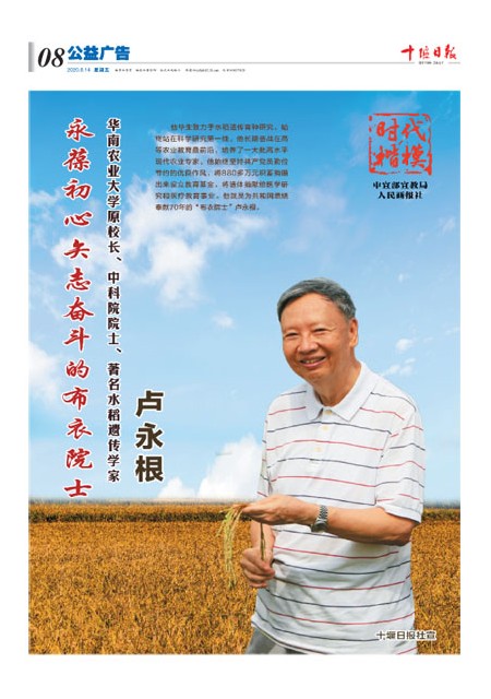 8版导读