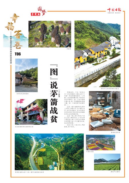 T06版导读