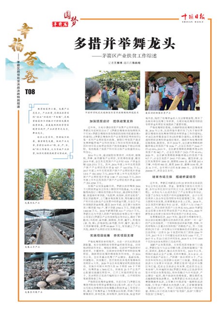 T08版导读