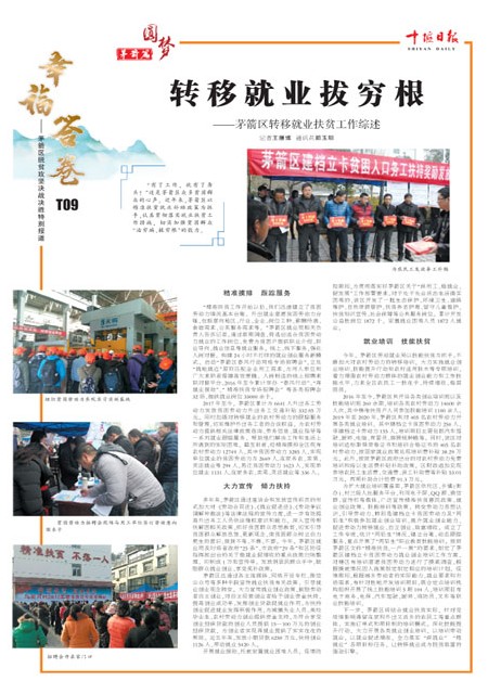 T09版导读
