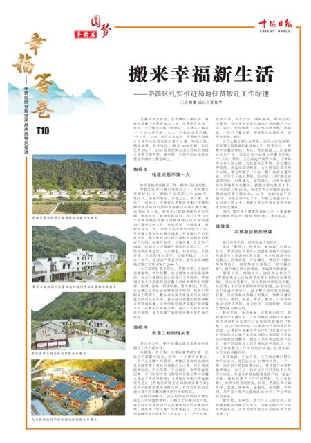 T10版导读