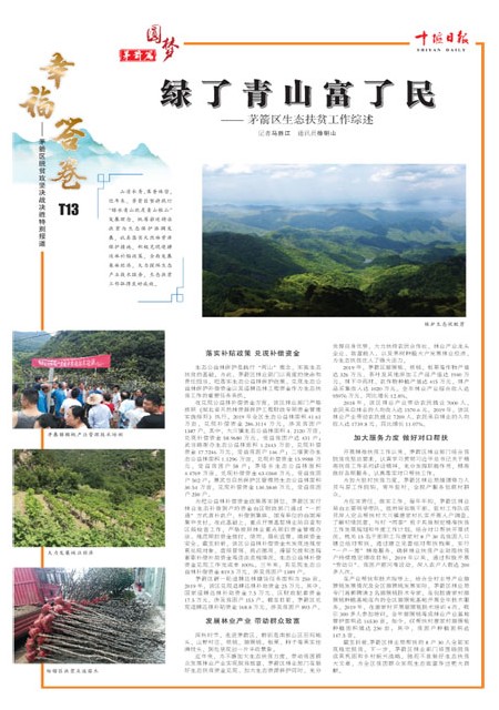 T13版导读