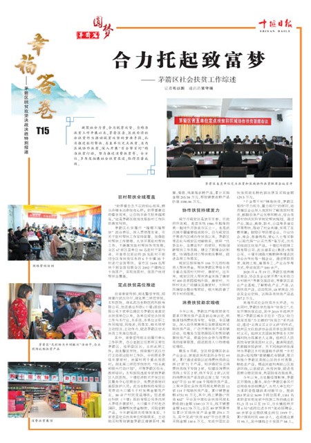 T15版导读