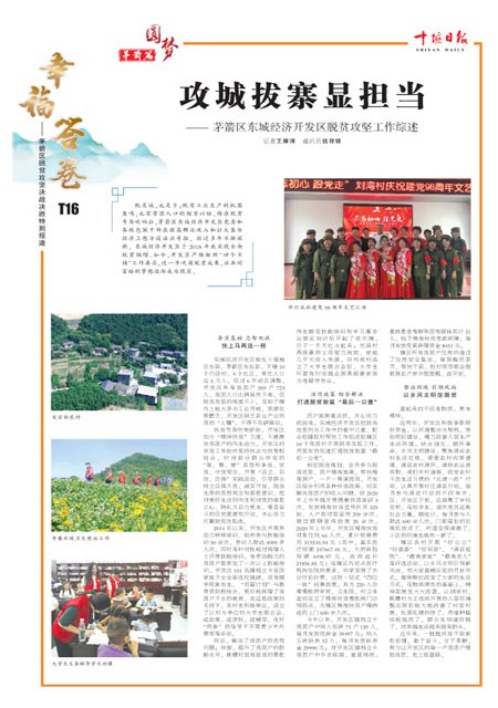 T16版导读