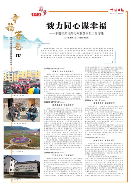 T17版导读