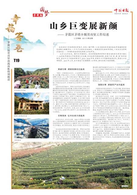 T19版导读