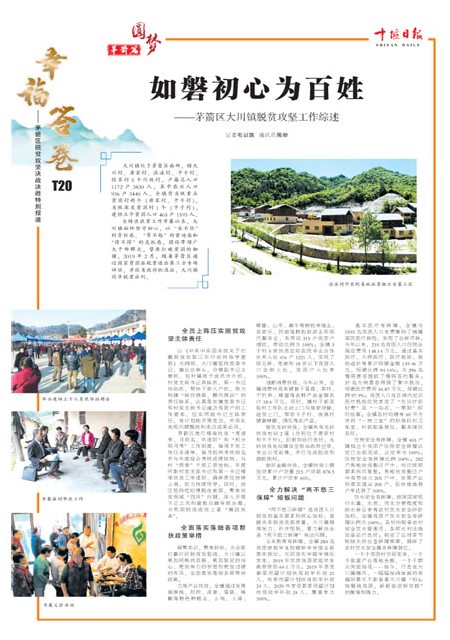 T20版导读