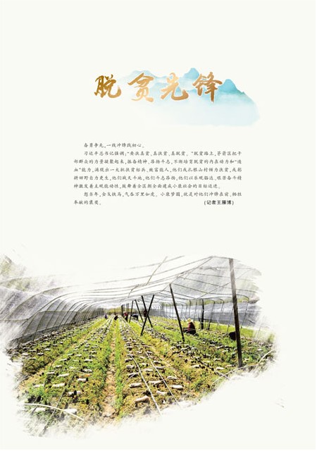T21版导读