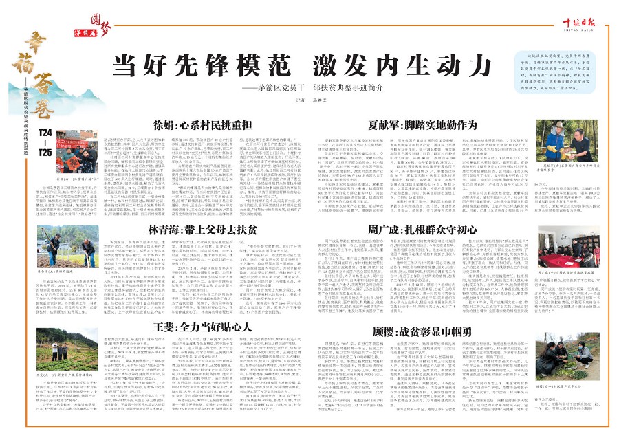 T25版导读