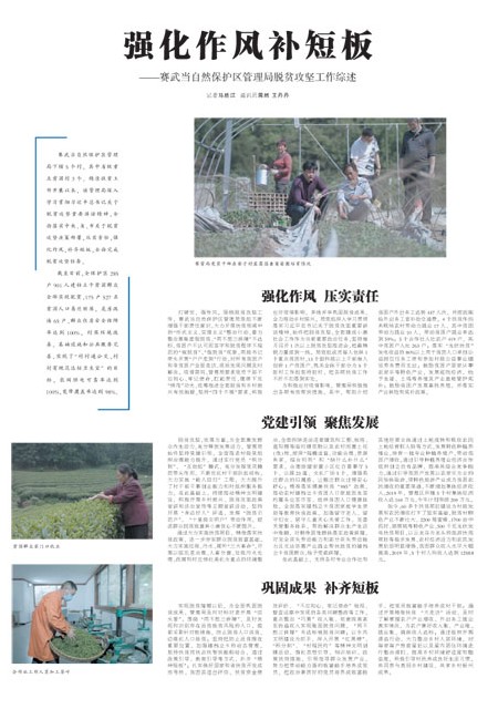T29版导读