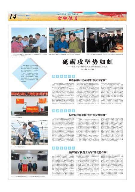 14版导读