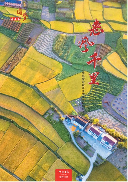 T0版导读