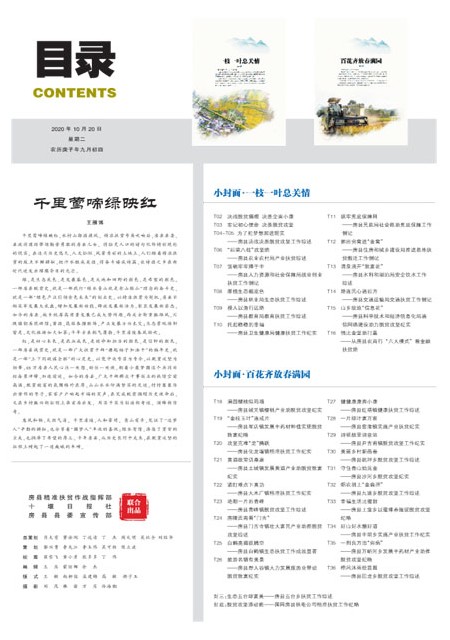 T00版导读