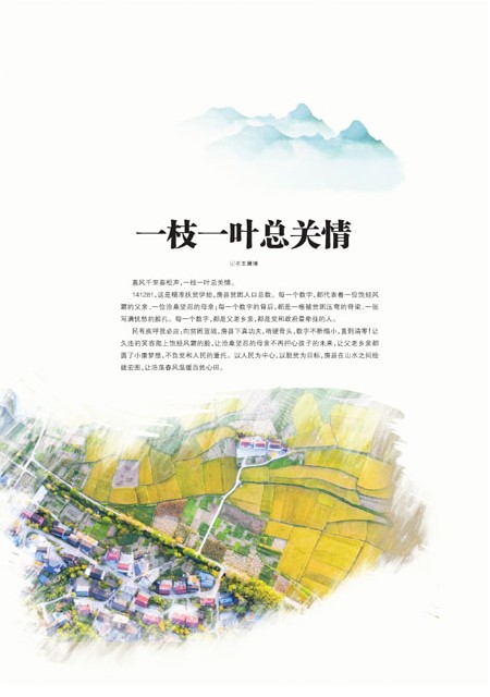 T01版导读