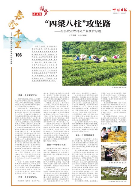 T06版导读