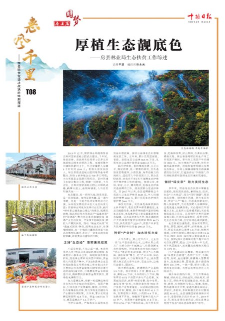 T08版导读