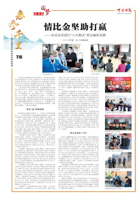 T16版导读