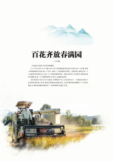 T17版导读