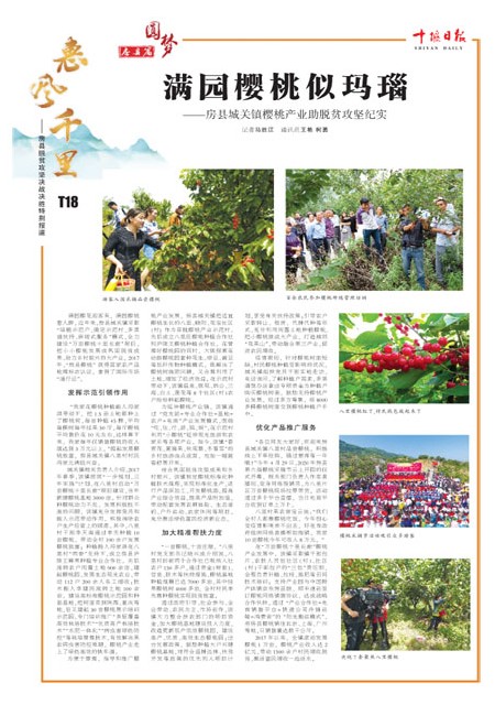T18版导读