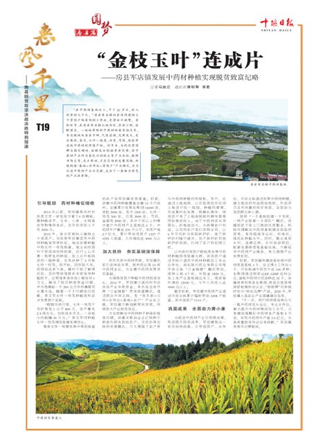 T19版导读