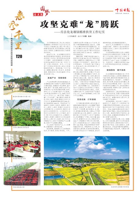 T20版导读
