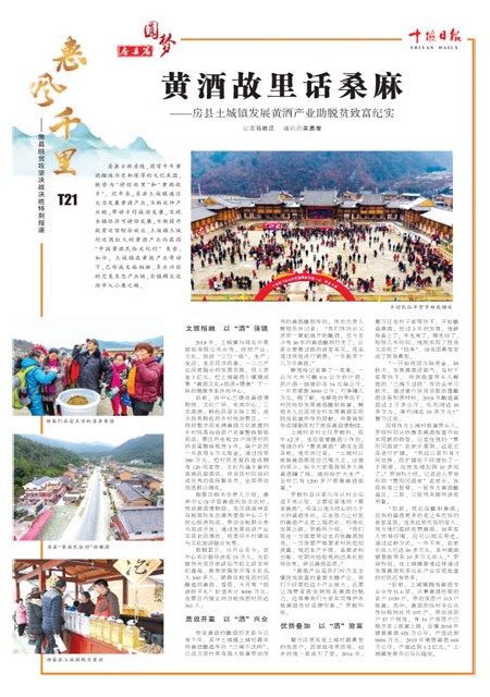 T21版导读