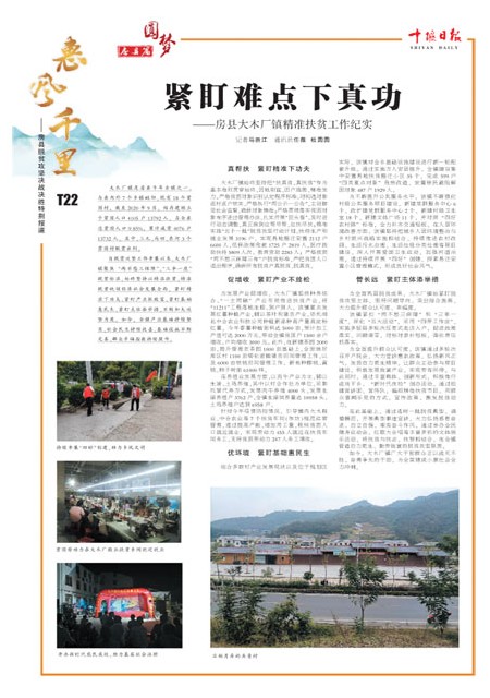 T22版导读