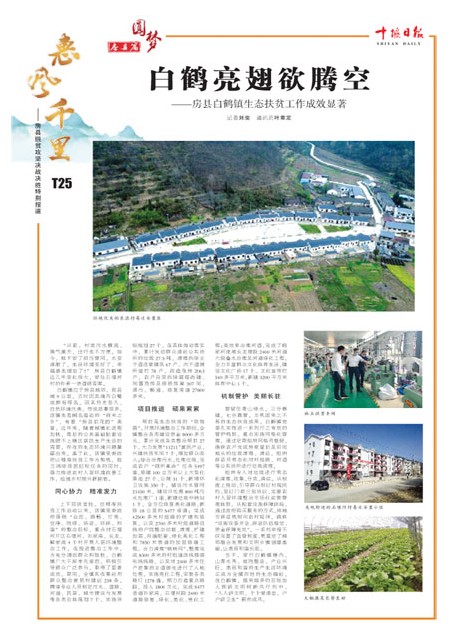 T25版导读