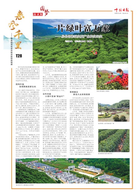 T28版导读