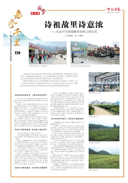 T29版导读