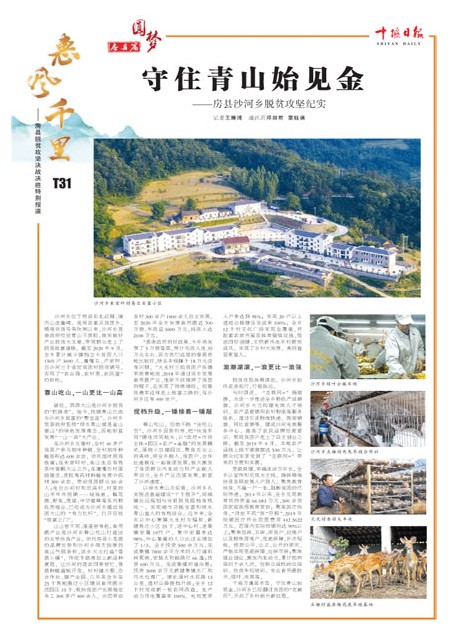 T31版导读