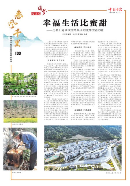 T33版导读