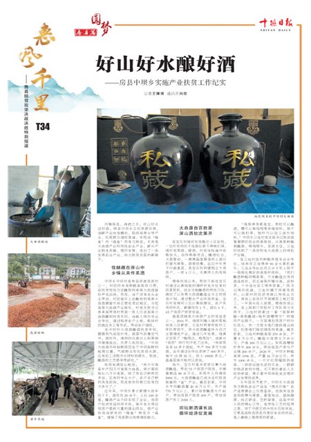 T34版导读