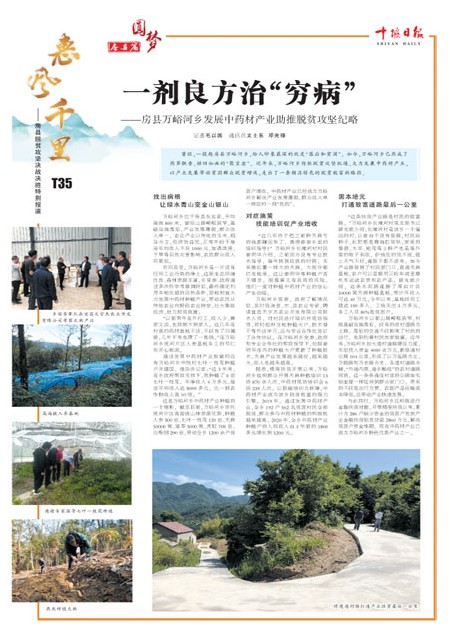 T35版导读