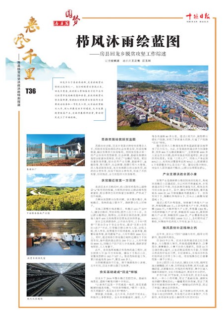 T36版导读