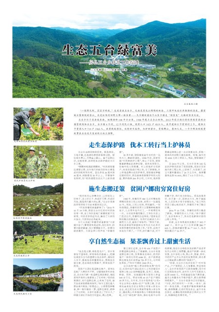 T37版导读