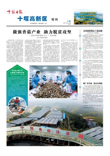3版导读