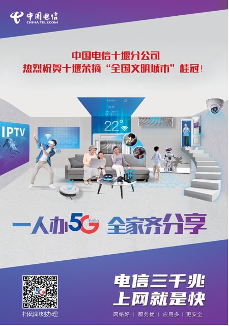 T00版导读
