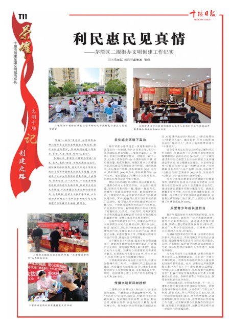 T11版导读