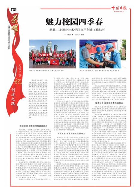 T31版导读