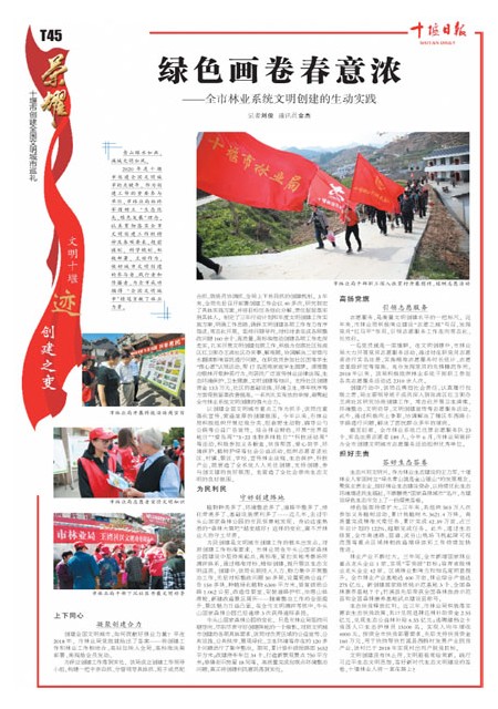 T45版导读