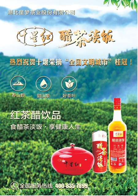 T81版导读