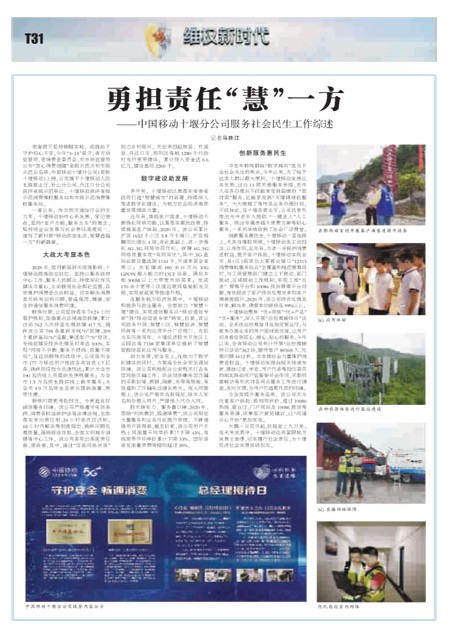 T31版导读