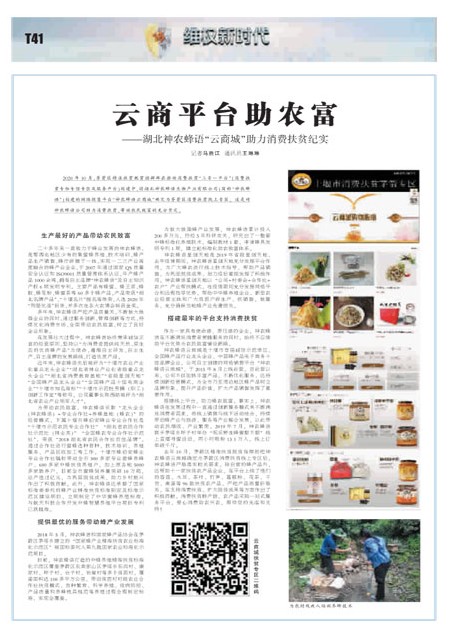 T41版导读