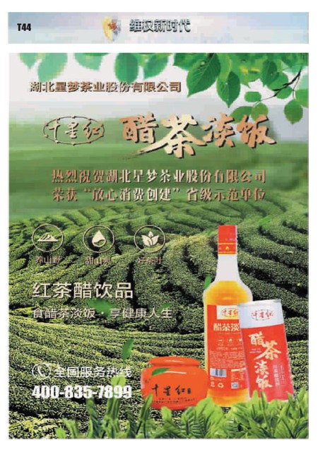 T44版导读