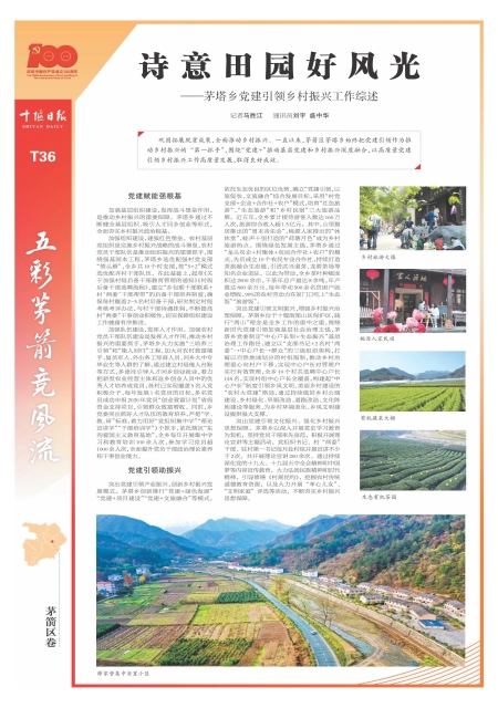 T36版导读