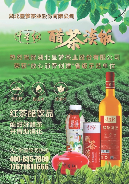 T00版导读