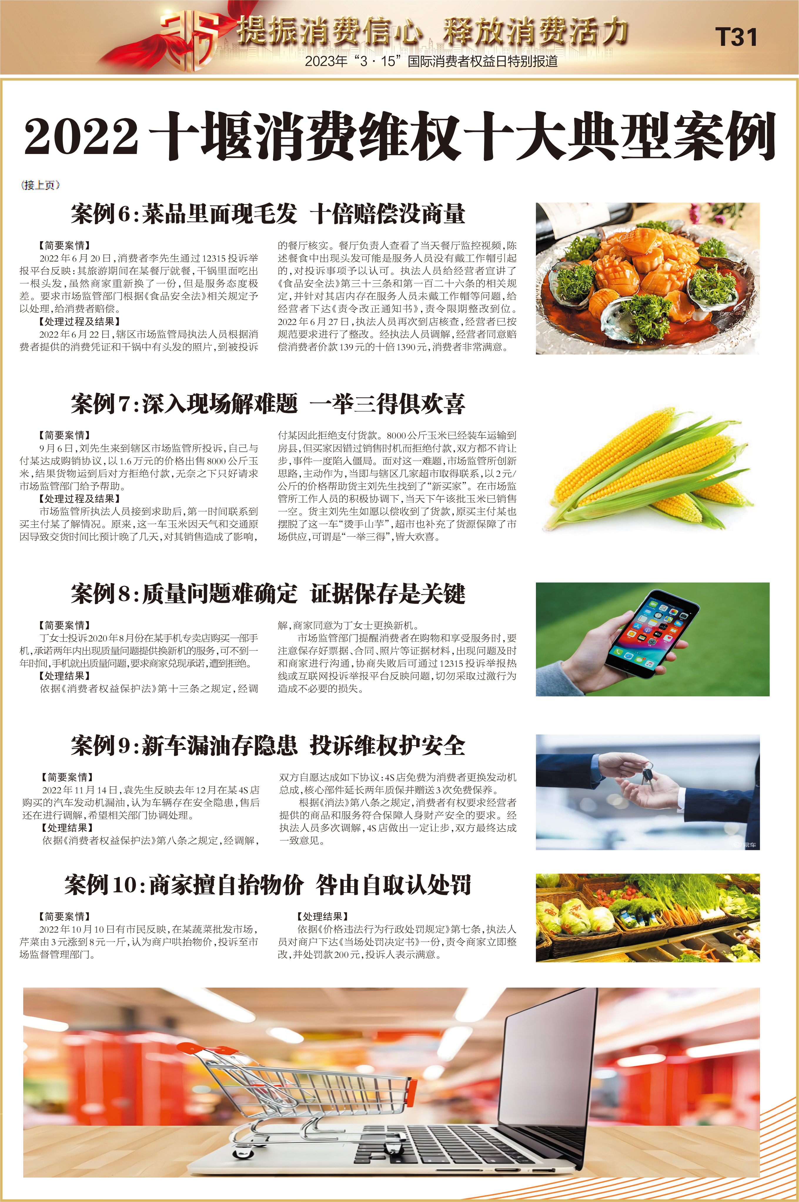 T31版导读